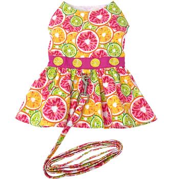 Rowdy Pals - Citrus Slice Hawaiian Dress w/ Leash